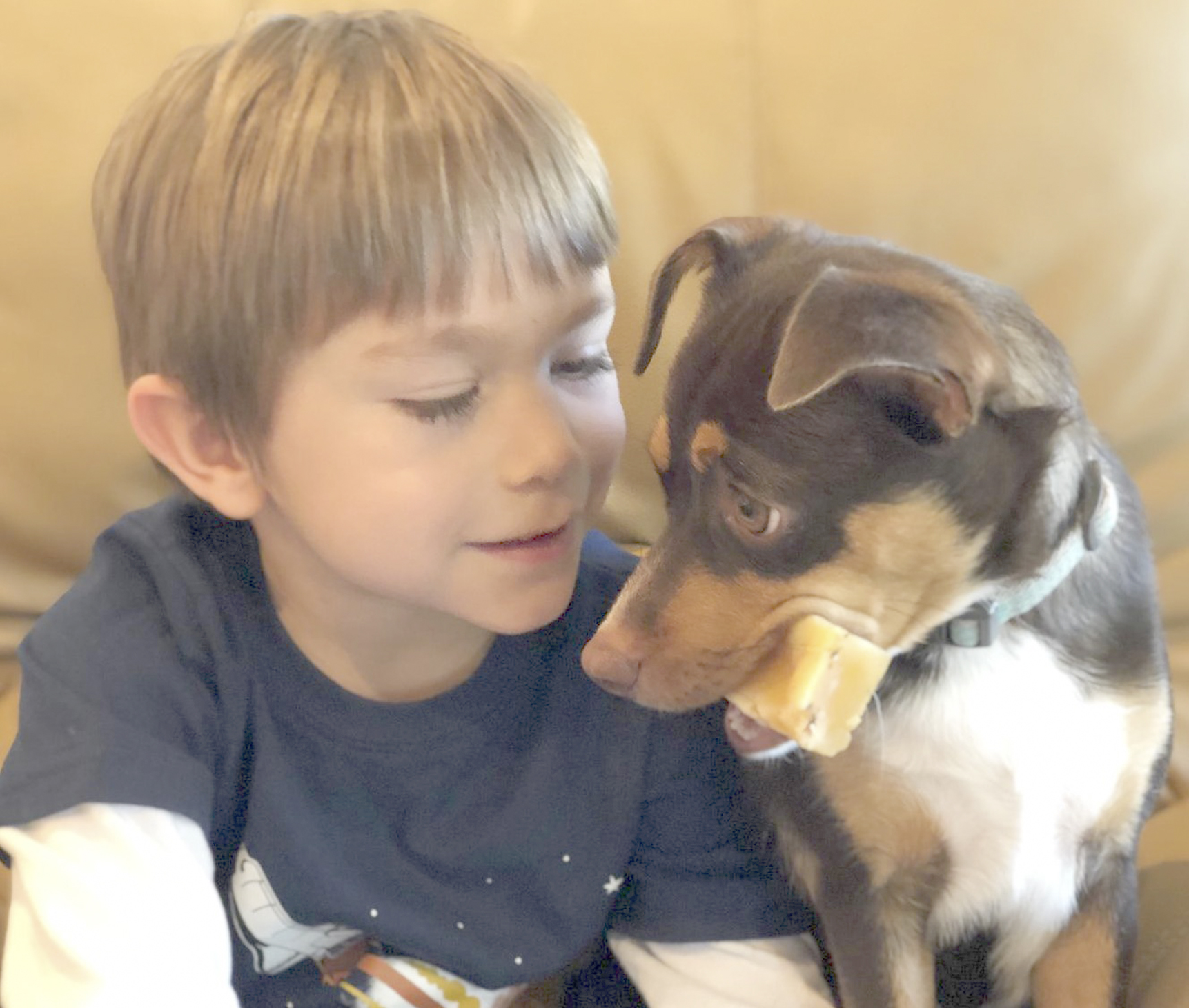 Wheeling meals for man's best friend | News, Sports, Jobs - Vimarsana News
